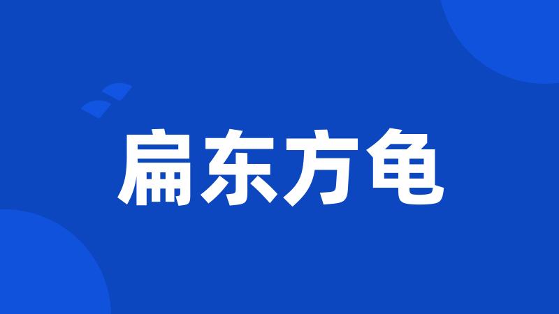 扁东方龟
