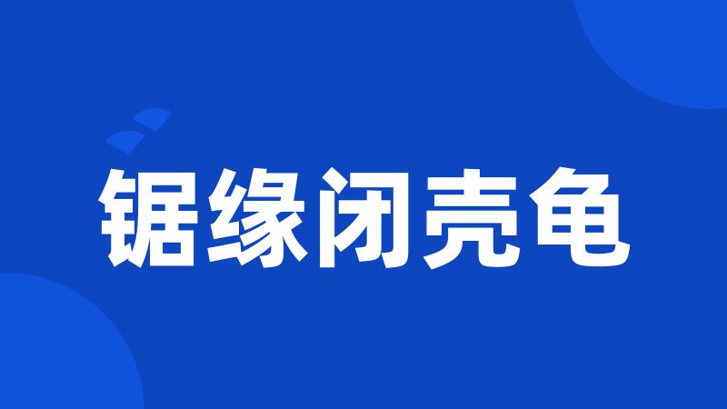 锯缘闭壳龟