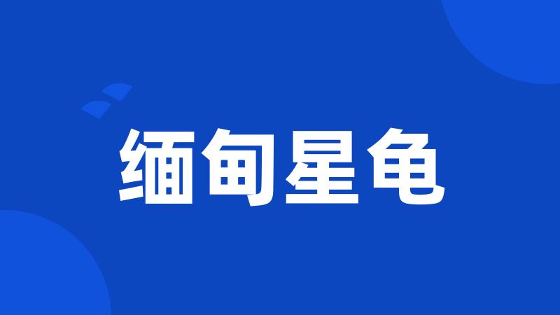 缅甸星龟