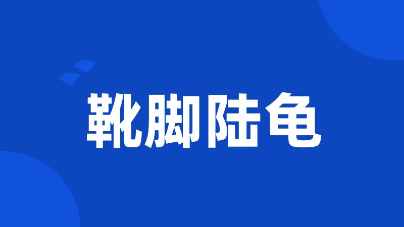 靴脚陆龟