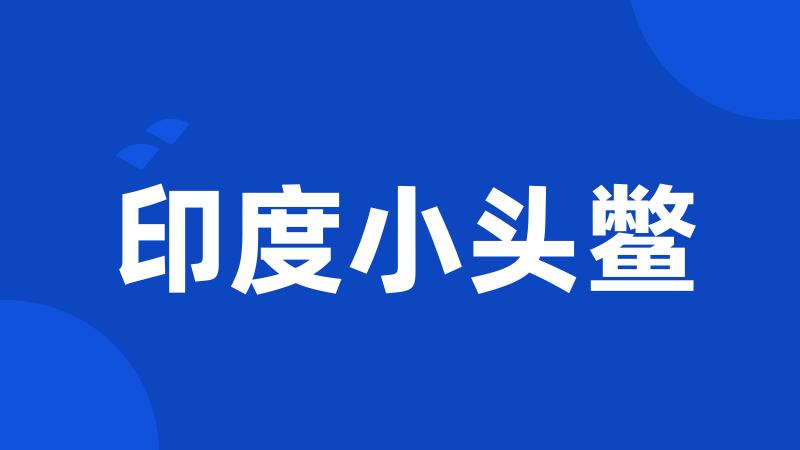 印度小头鳖