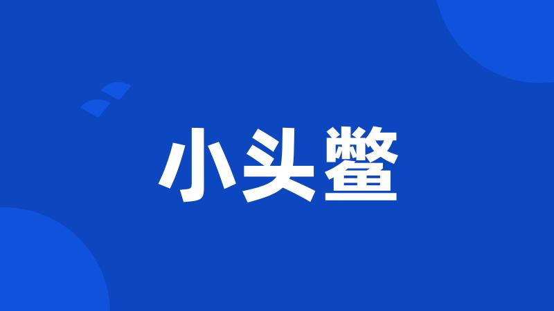 小头鳖