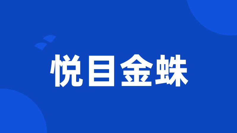 悦目金蛛