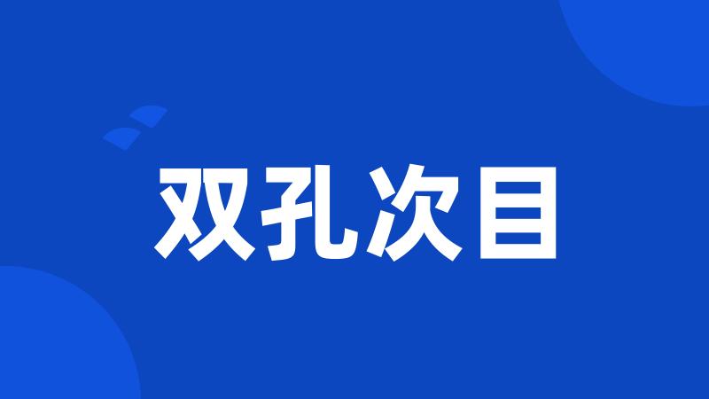 双孔次目