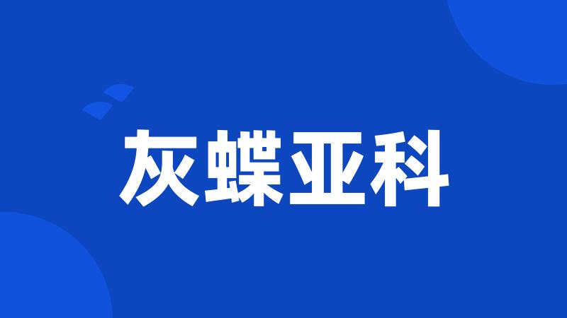 灰蝶亚科