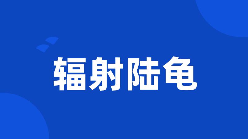 辐射陆龟