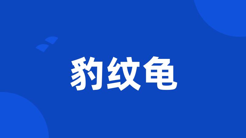豹纹龟