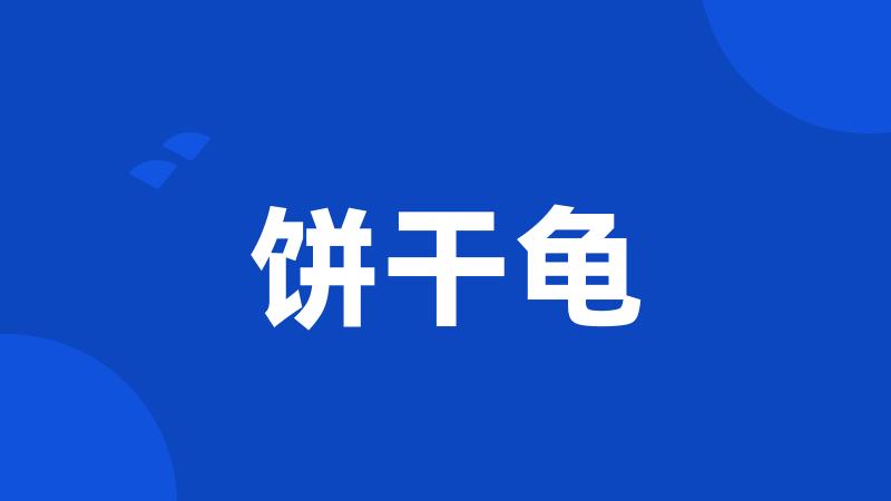 饼干龟