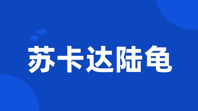 苏卡达陆龟