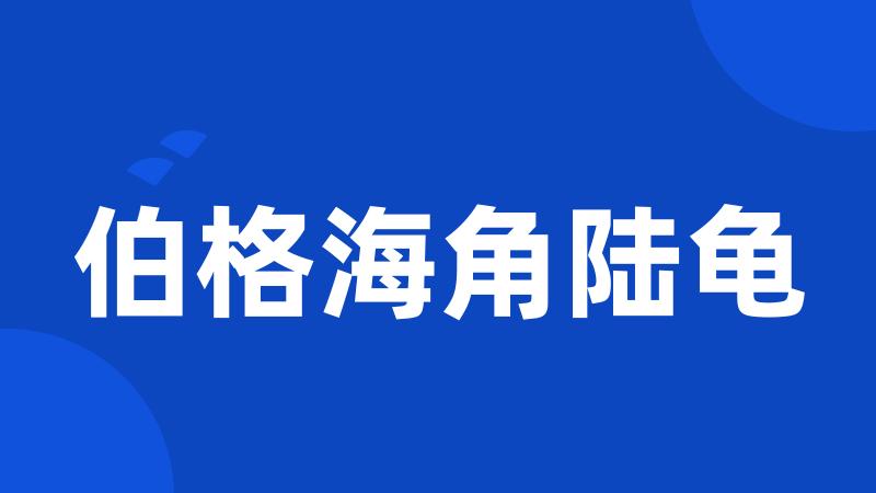 伯格海角陆龟
