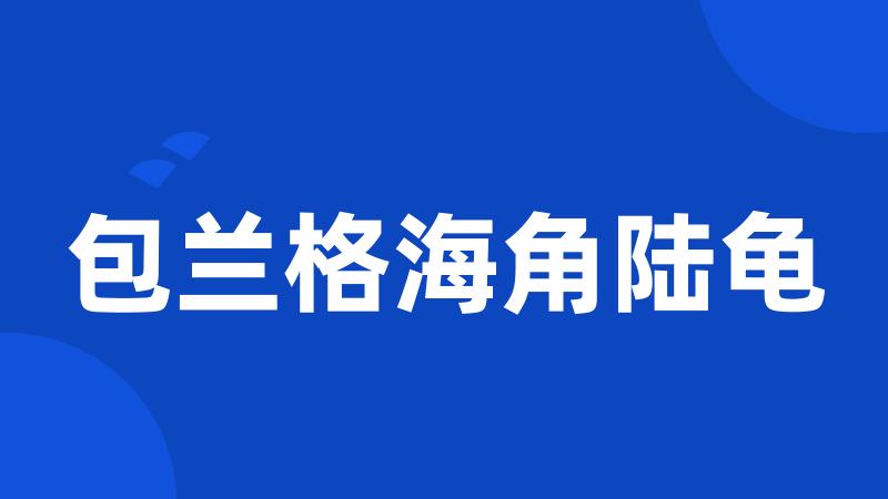 包兰格海角陆龟