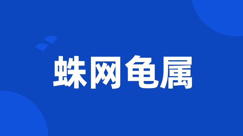 蛛网龟属