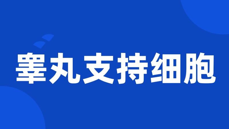 睾丸支持细胞