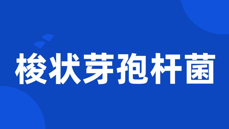 梭状芽孢杆菌