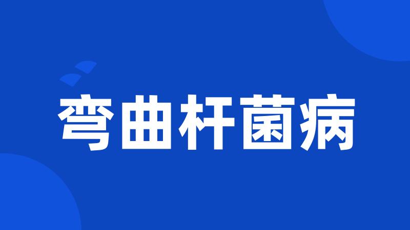 弯曲杆菌病