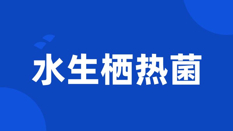 水生栖热菌