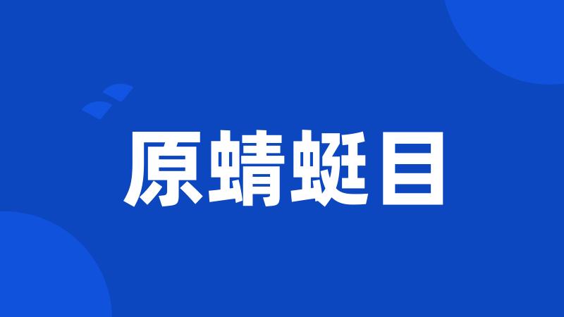 原蜻蜓目