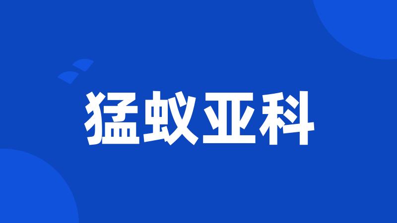 猛蚁亚科
