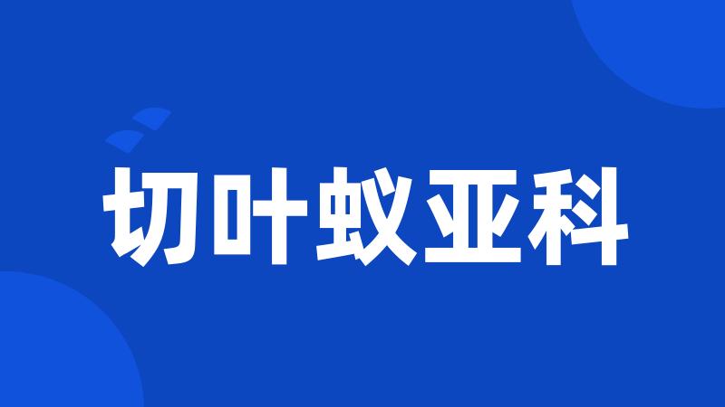 切叶蚁亚科