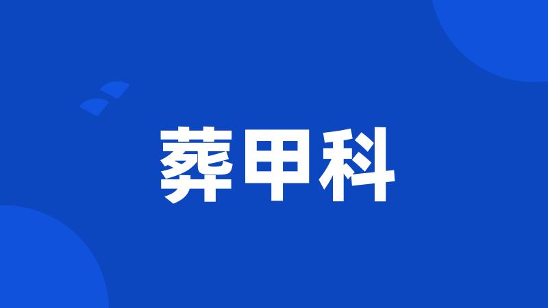 葬甲科