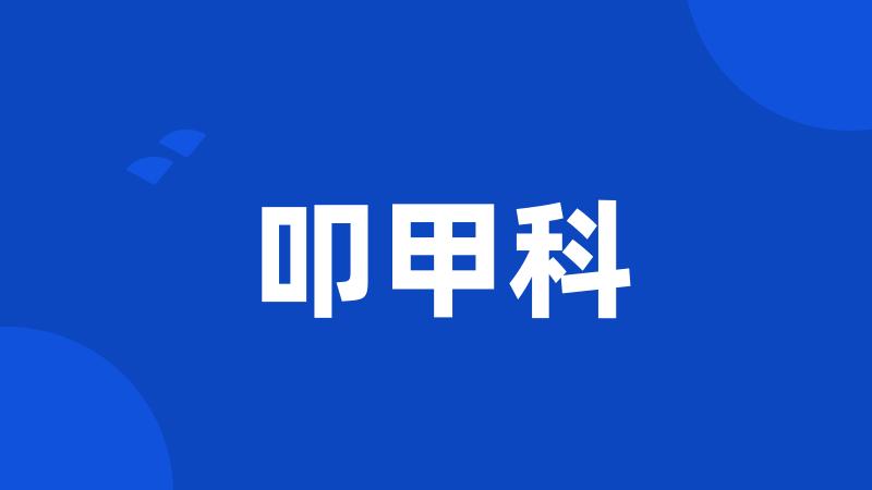 叩甲科