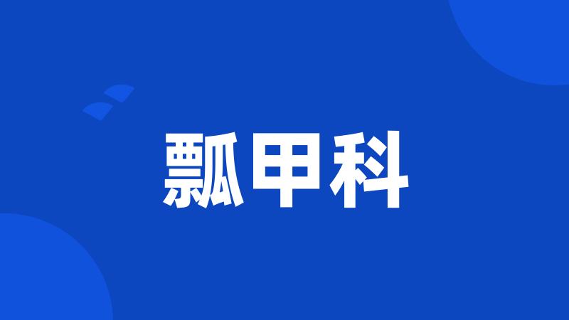 瓢甲科