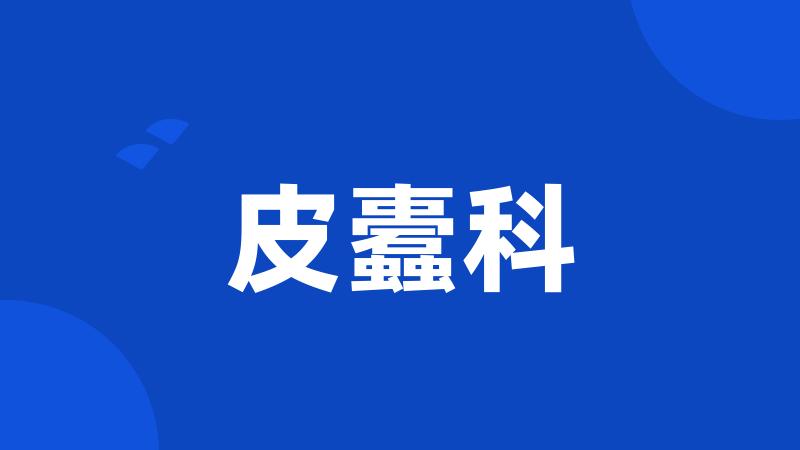 皮蠹科