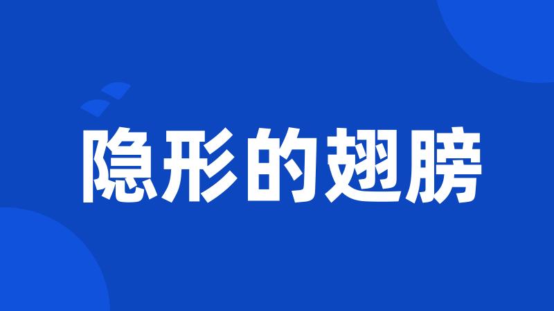 隐形的翅膀