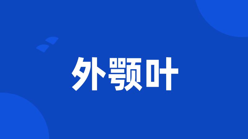 外颚叶