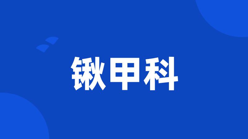 锹甲科