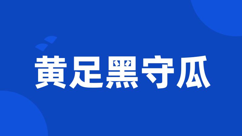 黄足黑守瓜