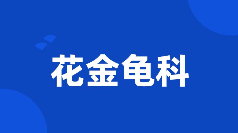 花金龟科