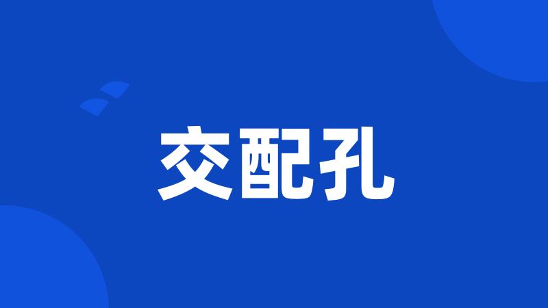交配孔