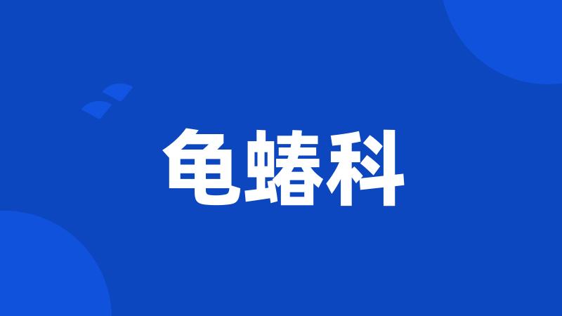 龟蝽科
