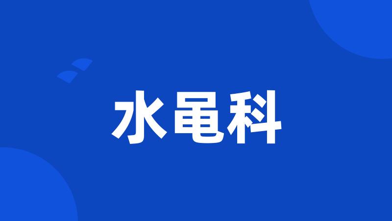 水黾科