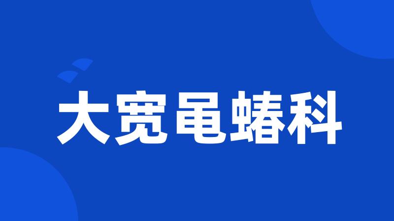 大宽黾蝽科
