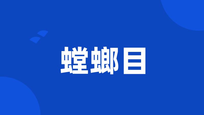 螳螂目