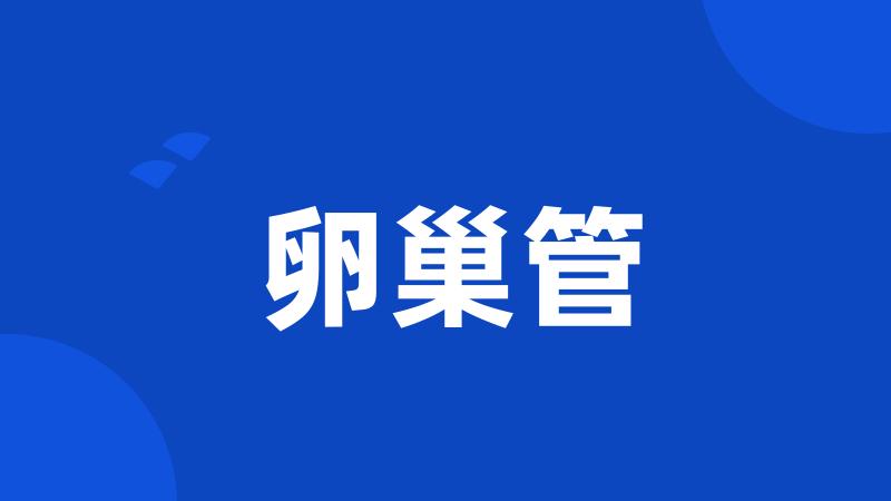 卵巢管