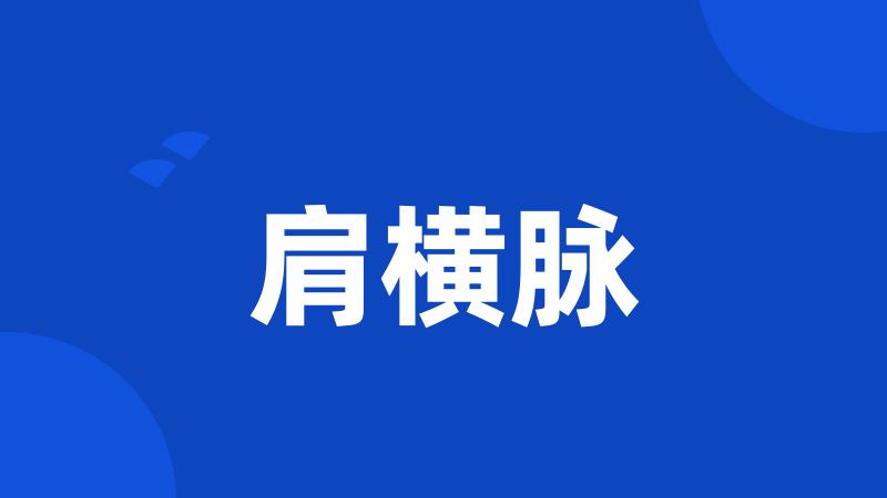 肩横脉