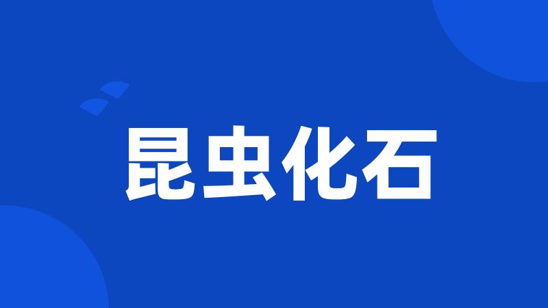 昆虫化石