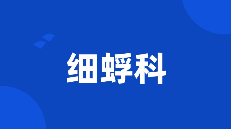 细蜉科
