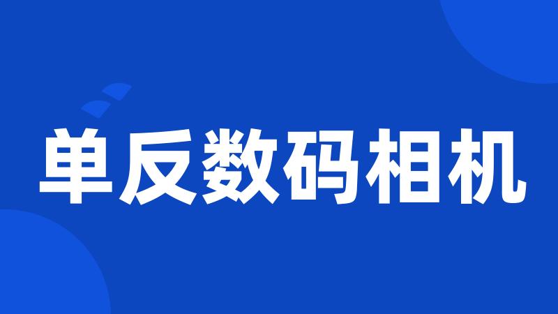 单反数码相机
