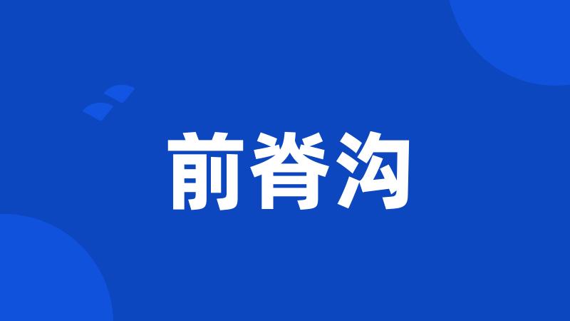 前脊沟