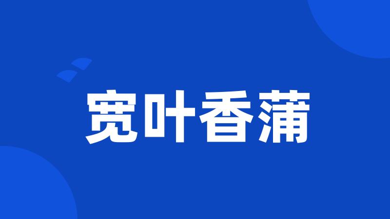 宽叶香蒲
