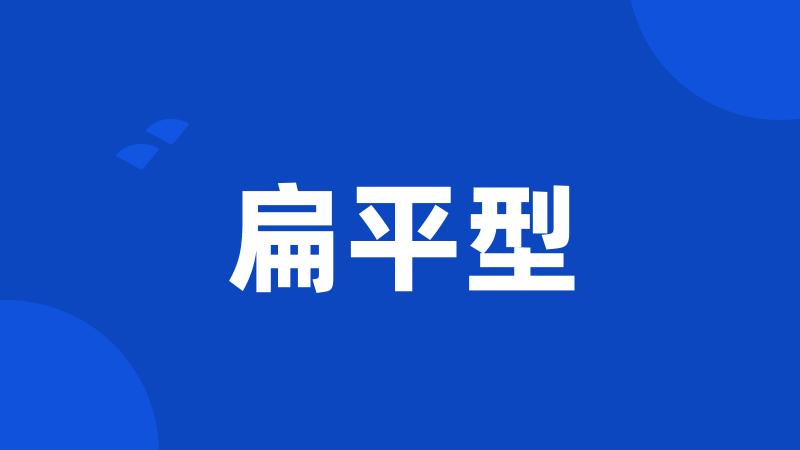 扁平型