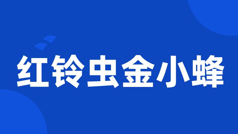 红铃虫金小蜂