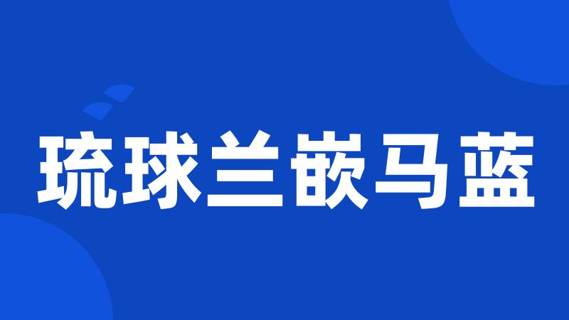 琉球兰嵌马蓝