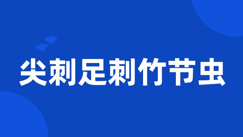 尖刺足刺竹节虫