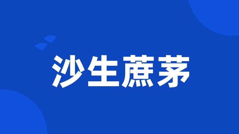 沙生蔗茅