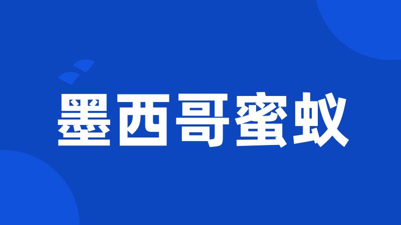 墨西哥蜜蚁